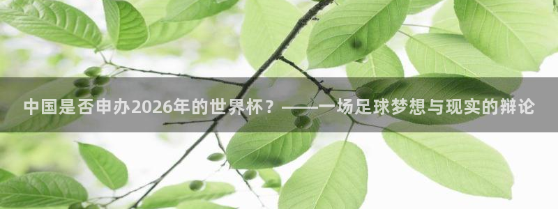 2026世界杯赛制:中国是否申办2026年的世界杯?——一场足球梦想与现实的辩论