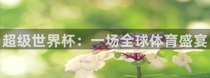 英格兰联赛杯直播:超级世界杯:一场全球体育盛宴