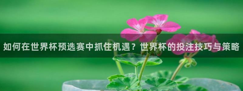 2026世界杯直播:如何在世界杯预选赛中抓住机遇?世界杯的投注技巧与策略