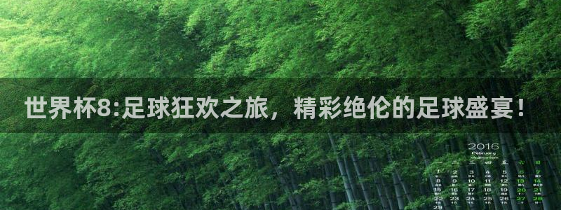 世预赛赛程表:世界杯8:足球狂欢之旅,精彩绝伦的足球盛宴!