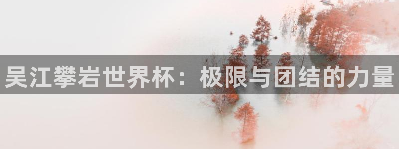 足球世界杯预选赛:吴江攀岩世界杯:极限与团结的力量