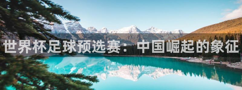 世界杯预选赛:世界杯足球预选赛:中国崛起的象征