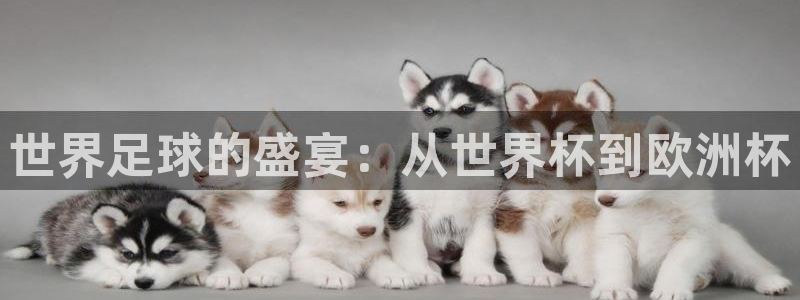 世界杯足球2026:世界足球的盛宴:从世界杯到欧洲杯