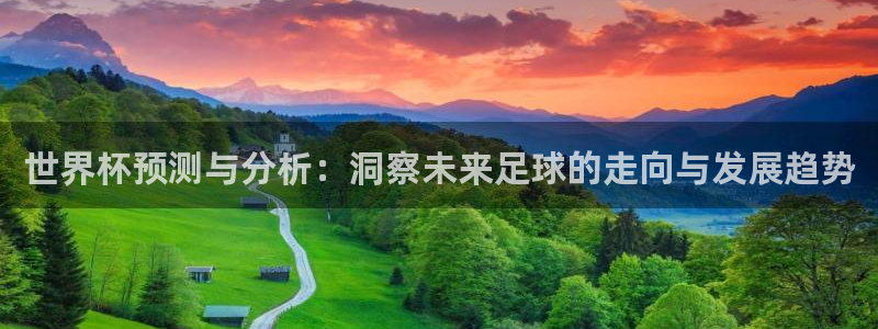 2026足球世界杯:世界杯预测与分析:洞察未来足球的走向与发展趋势